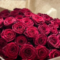 Ihr gestaltet gemeinsam ein florales Arragmenet, geniesst Kerzenschein und ein Glas Wein. Kreativität trifft Zweisamkeit.